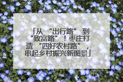 从 “出行路” 到 “致富路”！枣庄打造 “四好农村路”，串起乡村振兴新图景