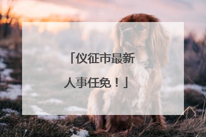 仪征市最新人事任免！