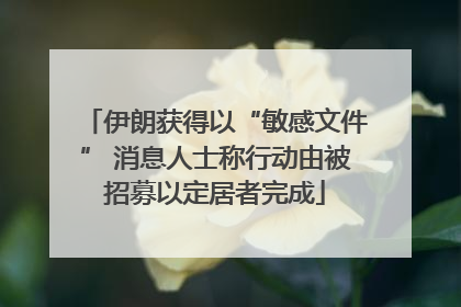 伊朗获得以“敏感文件” 消息人士称行动由被招募以定居者完成