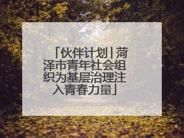 伙伴计划│菏泽市青年社会组织为基层治理注入青春力量
