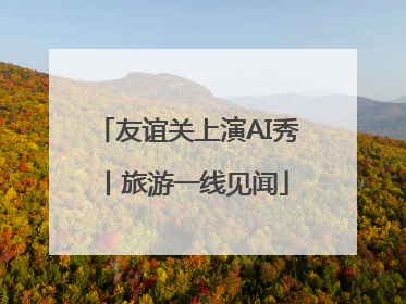 友谊关上演AI秀丨旅游一线见闻