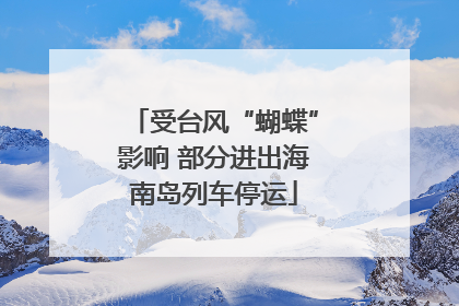 受台风“蝴蝶”影响 部分进出海南岛列车停运