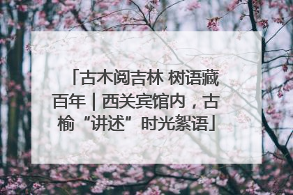 古木阅吉林 树语藏百年｜西关宾馆内，古榆“讲述”时光絮语