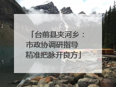 台前县夹河乡：市政协调研指导 精准把脉开良方