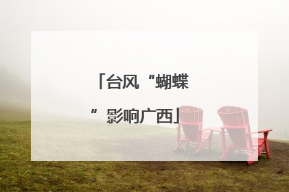 台风“蝴蝶”影响广西