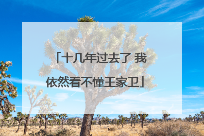 十几年过去了 我依然看不懂王家卫