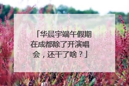 华晨宇端午假期在成都除了开演唱会，还干了啥？