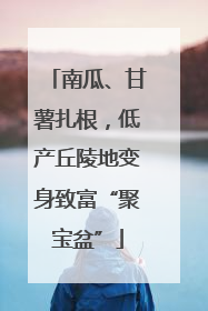 南瓜、甘薯扎根，低产丘陵地变身致富“聚宝盆”