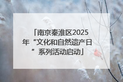 南京秦淮区2025年“文化和自然遗产日”系列活动启动
