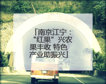 南京江宁：“红果”兴农果丰收 特色产业助振兴