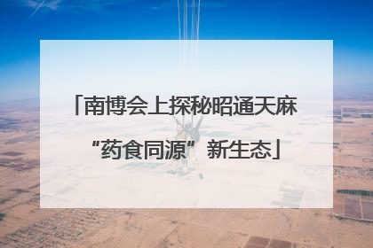 南博会上探秘昭通天麻“药食同源”新生态