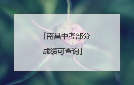 南昌中考部分成绩可查询