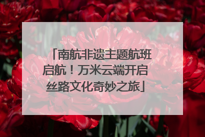 南航非遗主题航班启航！万米云端开启丝路文化奇妙之旅