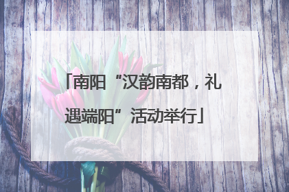 南阳“汉韵南都，礼遇端阳”活动举行