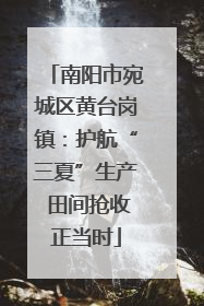 南阳市宛城区黄台岗镇：护航“三夏”生产 田间抢收正当时