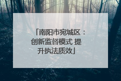 南阳市宛城区：创新监督模式 提升执法质效