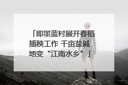 即墨蓝村展开春稻插秧工作 千亩盐碱地变“江南水乡”