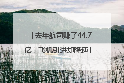 去年航司赚了44.7亿，飞机引进却降速