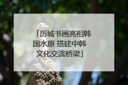 历城书画亮相韩国水原 搭建中韩文化交流桥梁