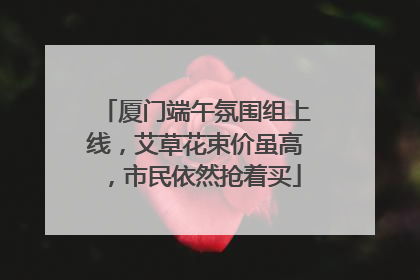 厦门端午氛围组上线，艾草花束价虽高，市民依然抢着买
