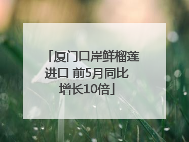 厦门口岸鲜榴莲进口 前5月同比增长10倍