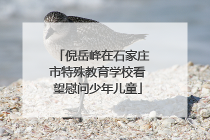 倪岳峰在石家庄市特殊教育学校看望慰问少年儿童