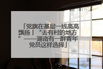 党旗在基层一线高高飘扬丨“去有村的地方”——湖南有一群青年党员这样选择