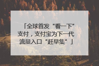 全球首发“看一下”支付，支付宝为下一代流量入口“赶早集”