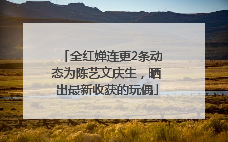 全红婵连更2条动态为陈艺文庆生，晒出最新收获的玩偶