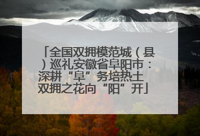 全国双拥模范城（县）巡礼安徽省阜阳市：深耕“阜”务培热土 双拥之花向“阳”开