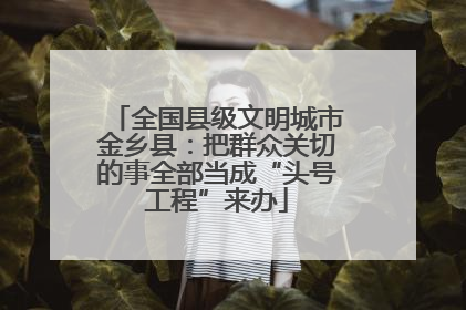 全国县级文明城市金乡县：把群众关切的事全部当成“头号工程”来办