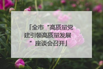 全市“高质量党建引领高质量发展”座谈会召开