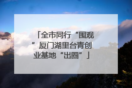 全市同行“围观”厦门湖里台青创业基地“出圈”