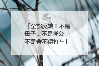 全部反转！不是母子，不是考公，不是舍不得打车