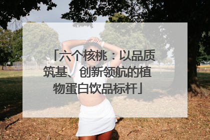 六个核桃：以品质筑基、创新领航的植物蛋白饮品标杆