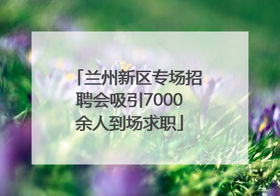 兰州新区专场招聘会吸引7000余人到场求职