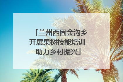 兰州西固金沟乡开展果树技能培训 助力乡村振兴