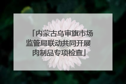 内蒙古乌审旗市场监管局联动共同开展肉制品专项检查