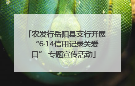 农发行岳阳县支行开展“6·14信用记录关爱日” 专题宣传活动