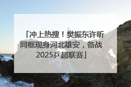 冲上热搜！樊振东许昕同框现身河北雄安，备战2025乒超联赛