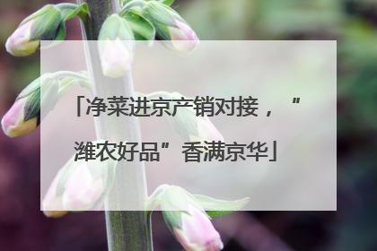 净菜进京产销对接，“潍农好品”香满京华