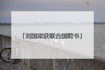 刘国梁获联合国聘书