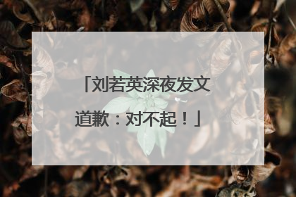 刘若英深夜发文道歉：对不起！