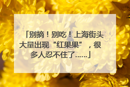别摘！别吃！上海街头大量出现“红果果”，很多人忍不住了……