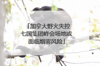 加拿大野火失控 七国集团峰会场地或面临烟雾风险