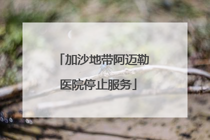 加沙地带阿迈勒医院停止服务