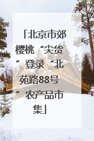 北京市郊樱桃“尖货”登录“北苑路88号”农产品市集