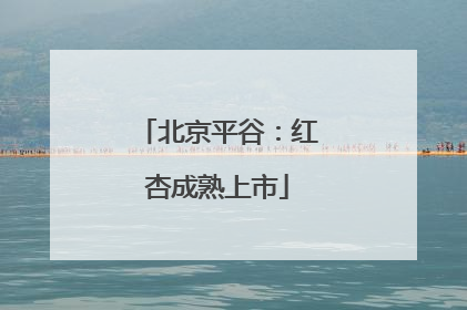 北京平谷：红杏成熟上市
