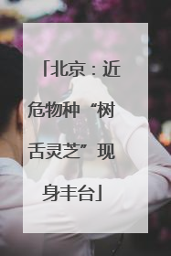 北京：近危物种“树舌灵芝”现身丰台