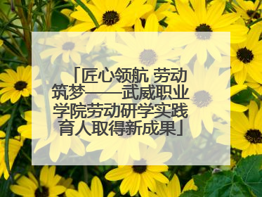 匠心领航 劳动筑梦——武威职业学院劳动研学实践育人取得新成果